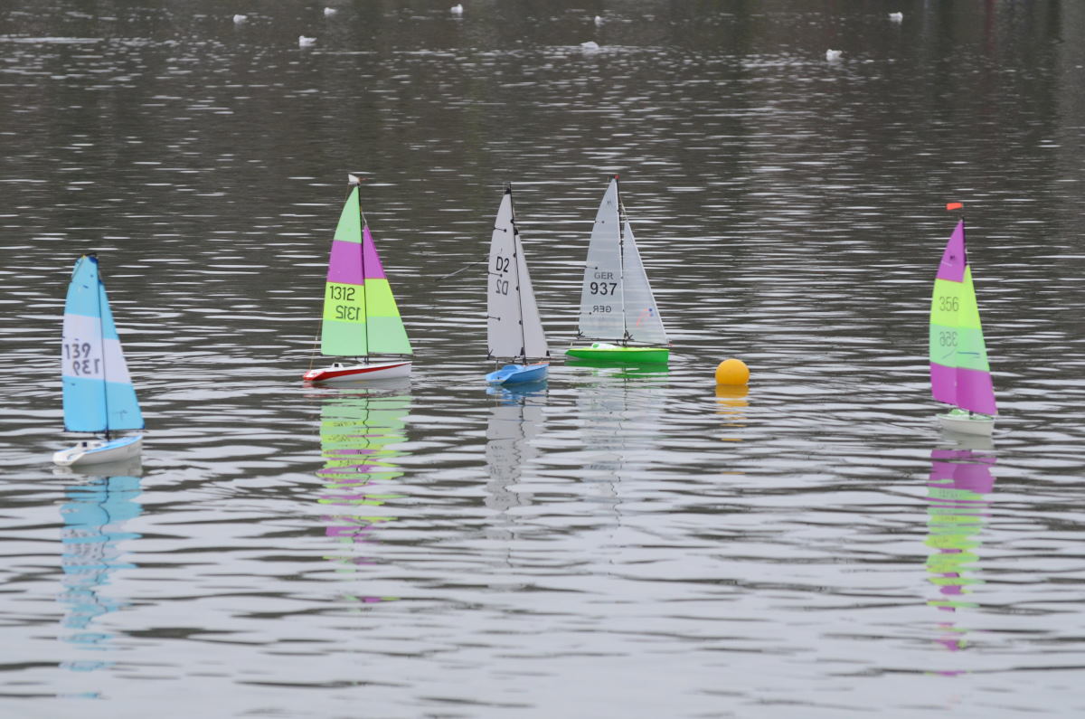 DSC_8239.JPG