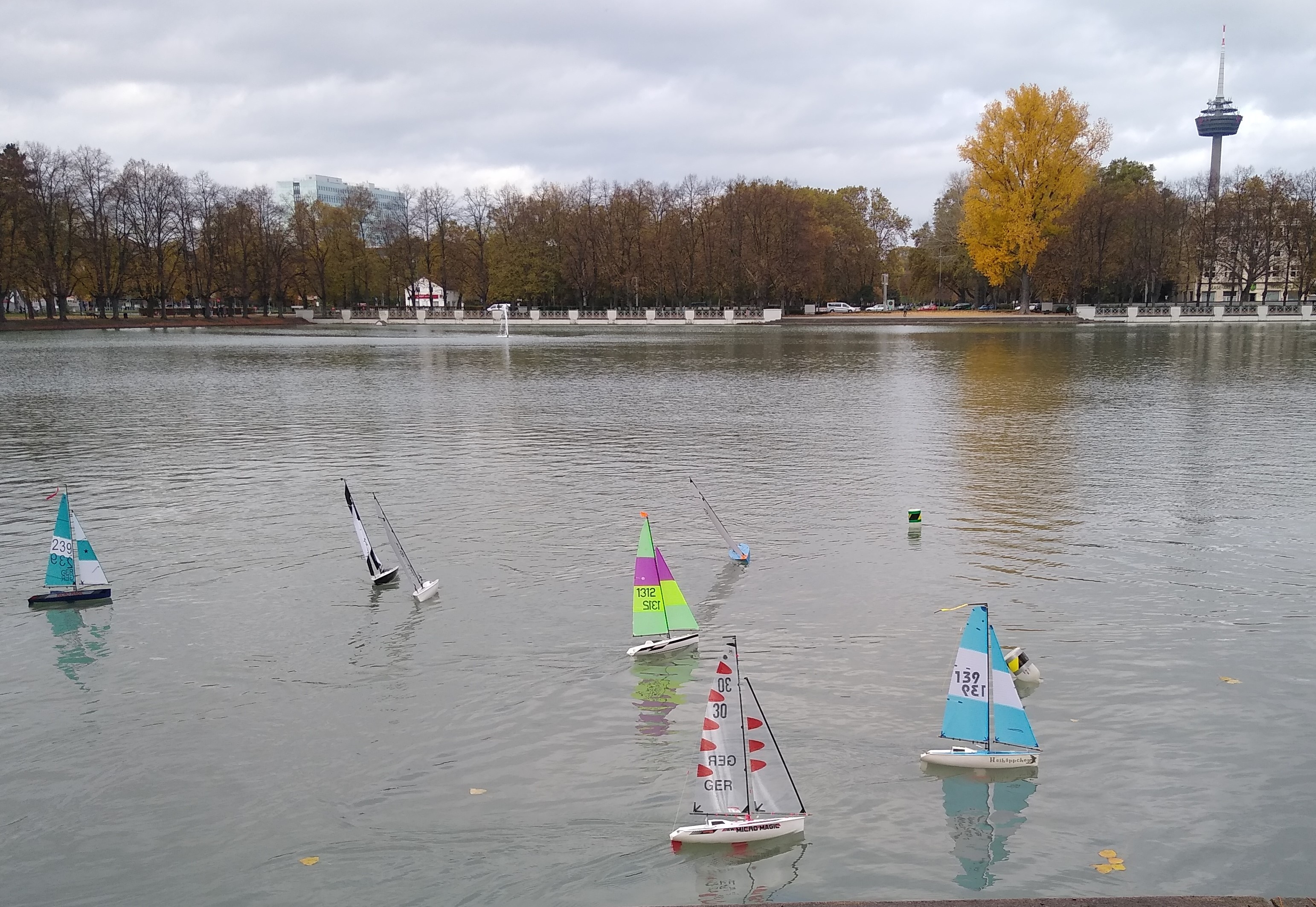 Regatta-Köln-31102021-2.jpg
