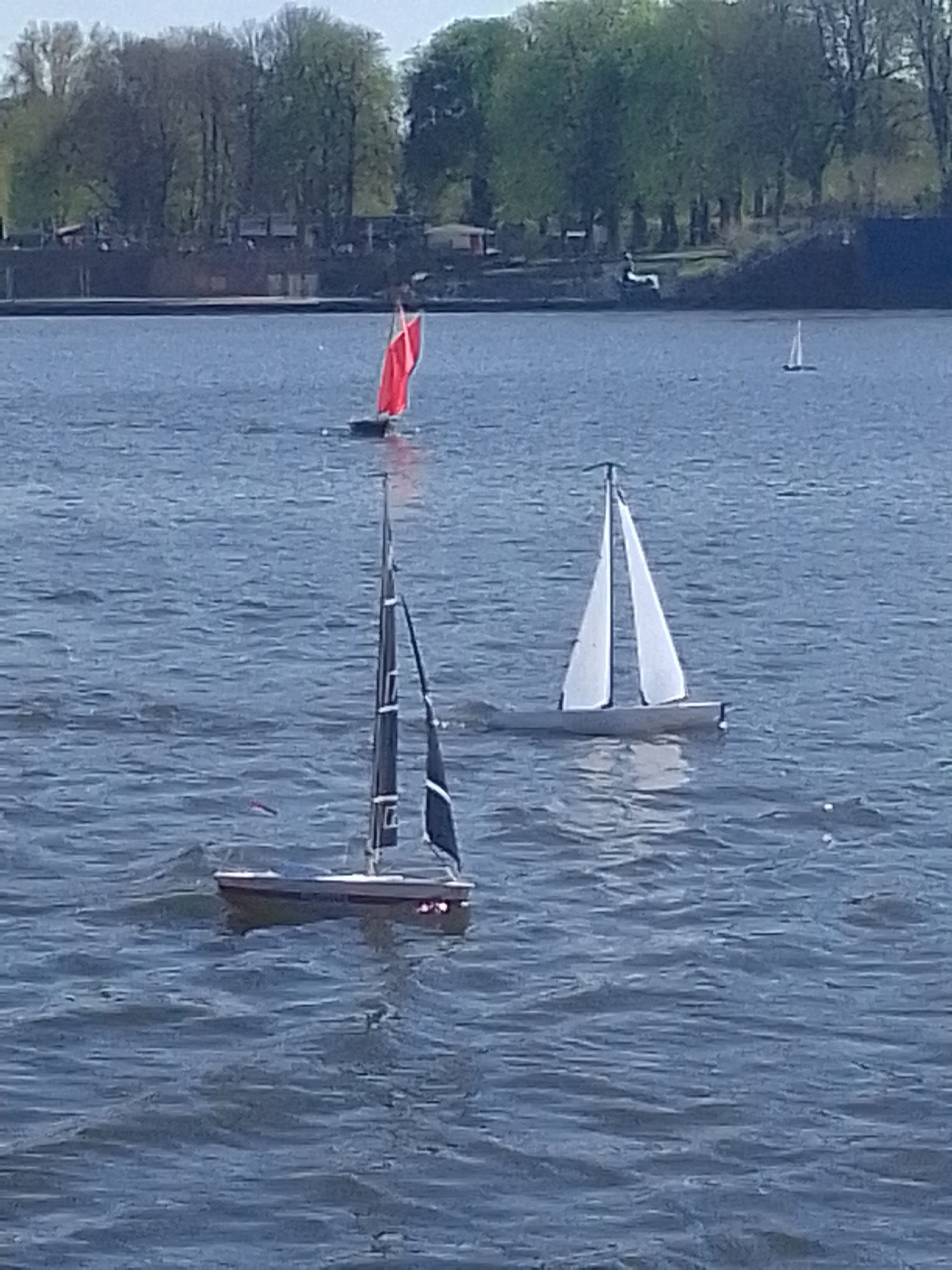Vormittags am Stadtparksee. Demnächst hier den Regattakurs aus legen ?
