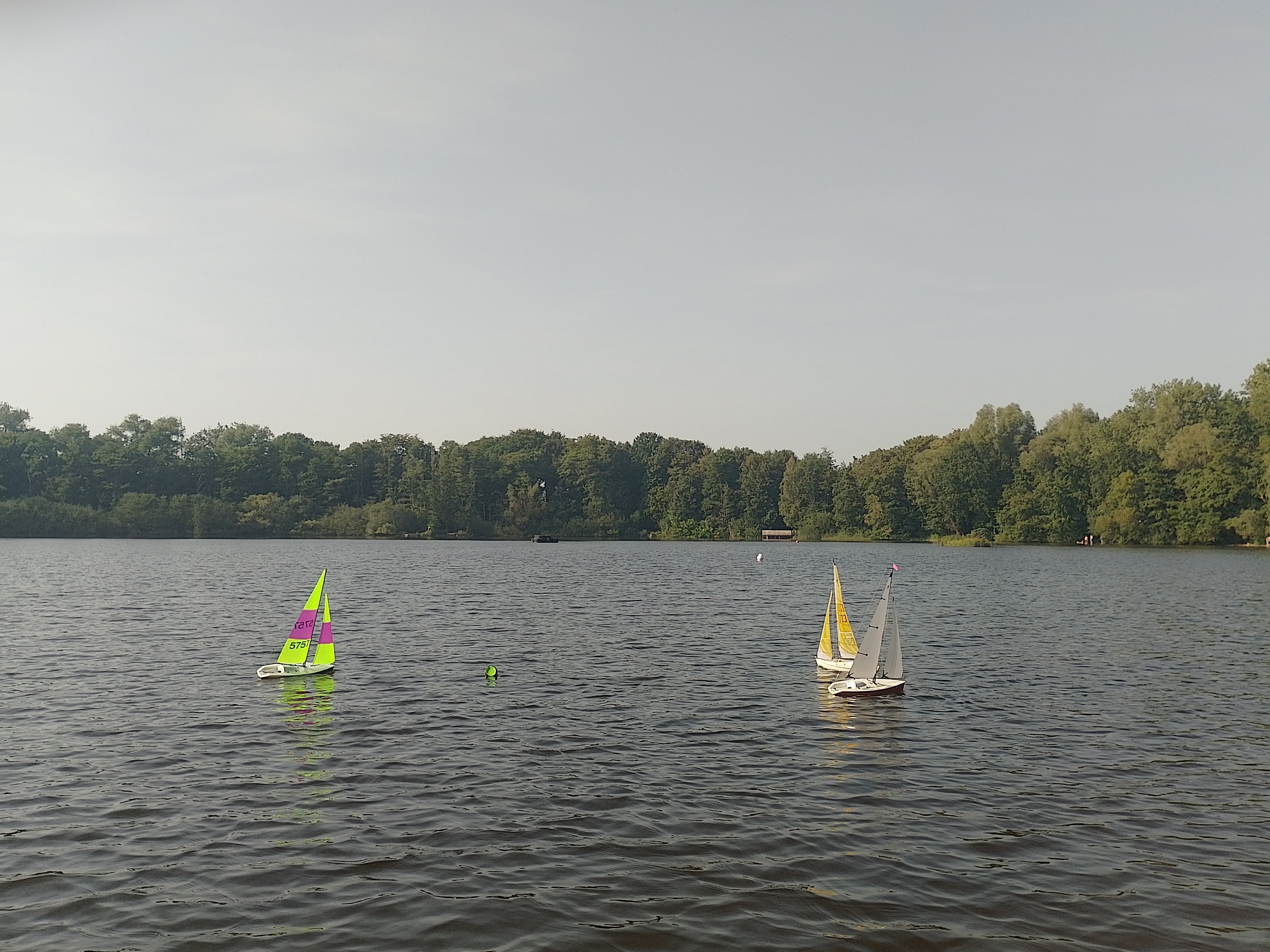 Gerd hatte den perfekten Start. An der Spitze segeln ist entspannter, wie in der Mitte zu segeln. Gerd gewann den Lauf.