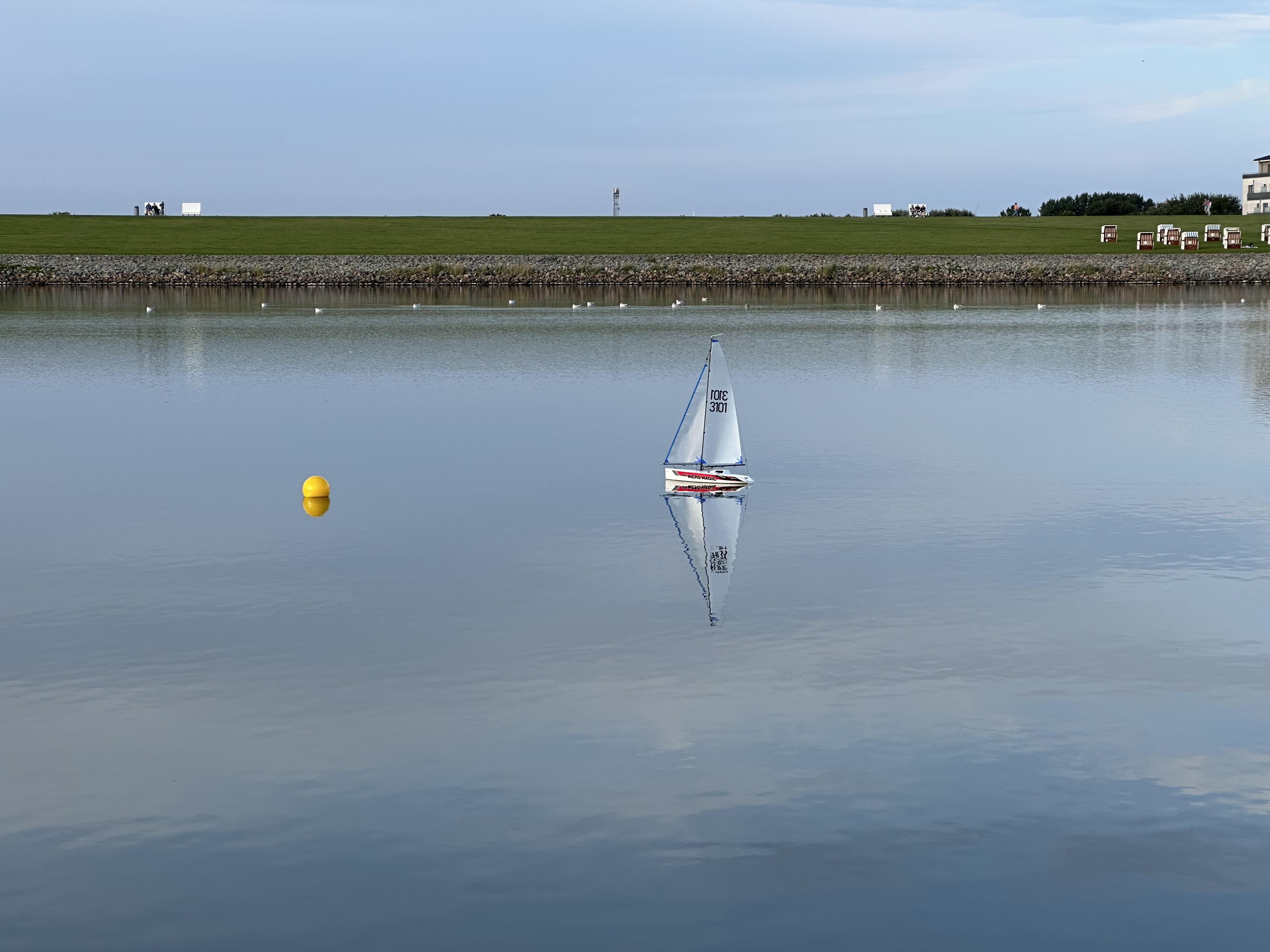 IMG_5987.jpeg