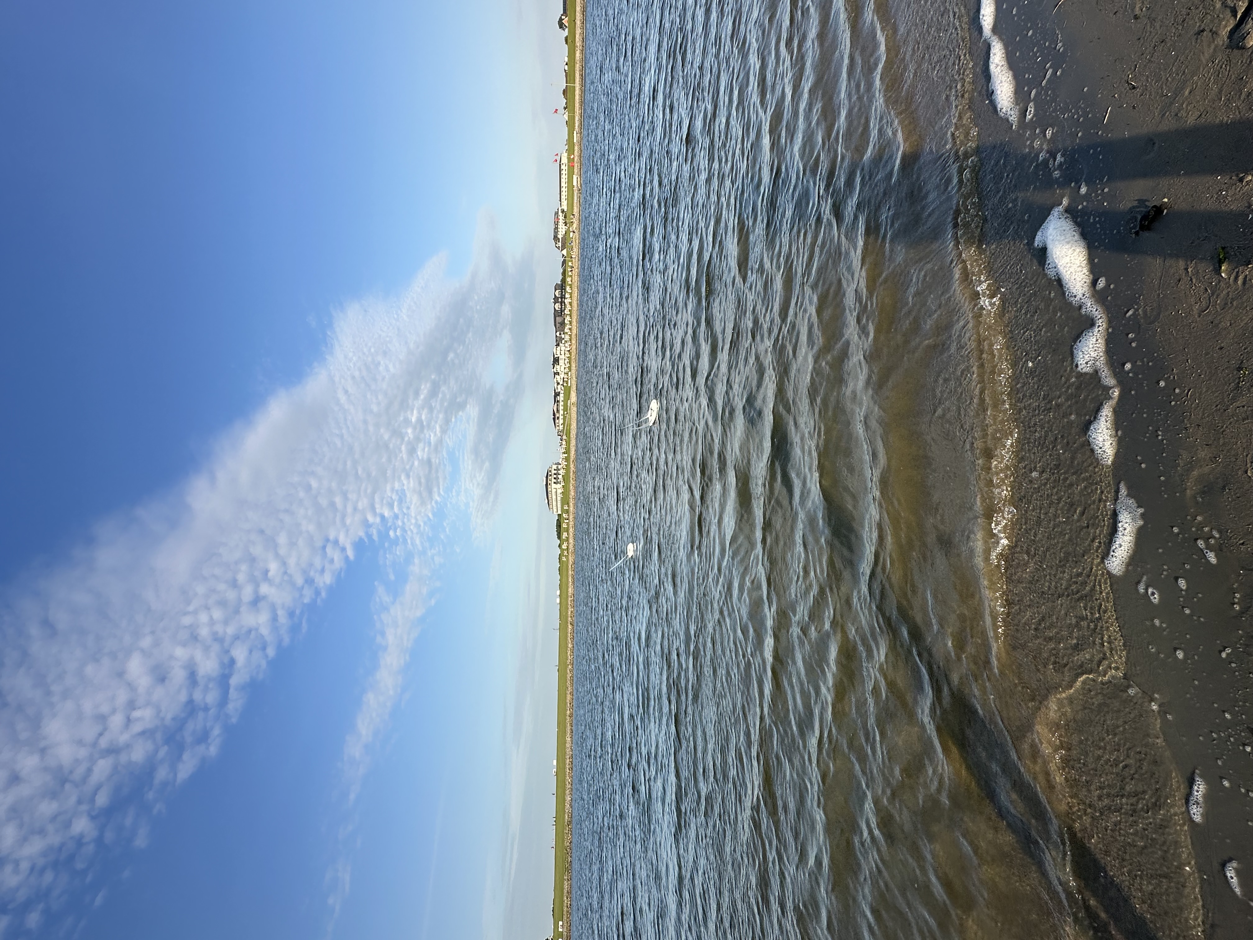 IMG_6036.jpeg