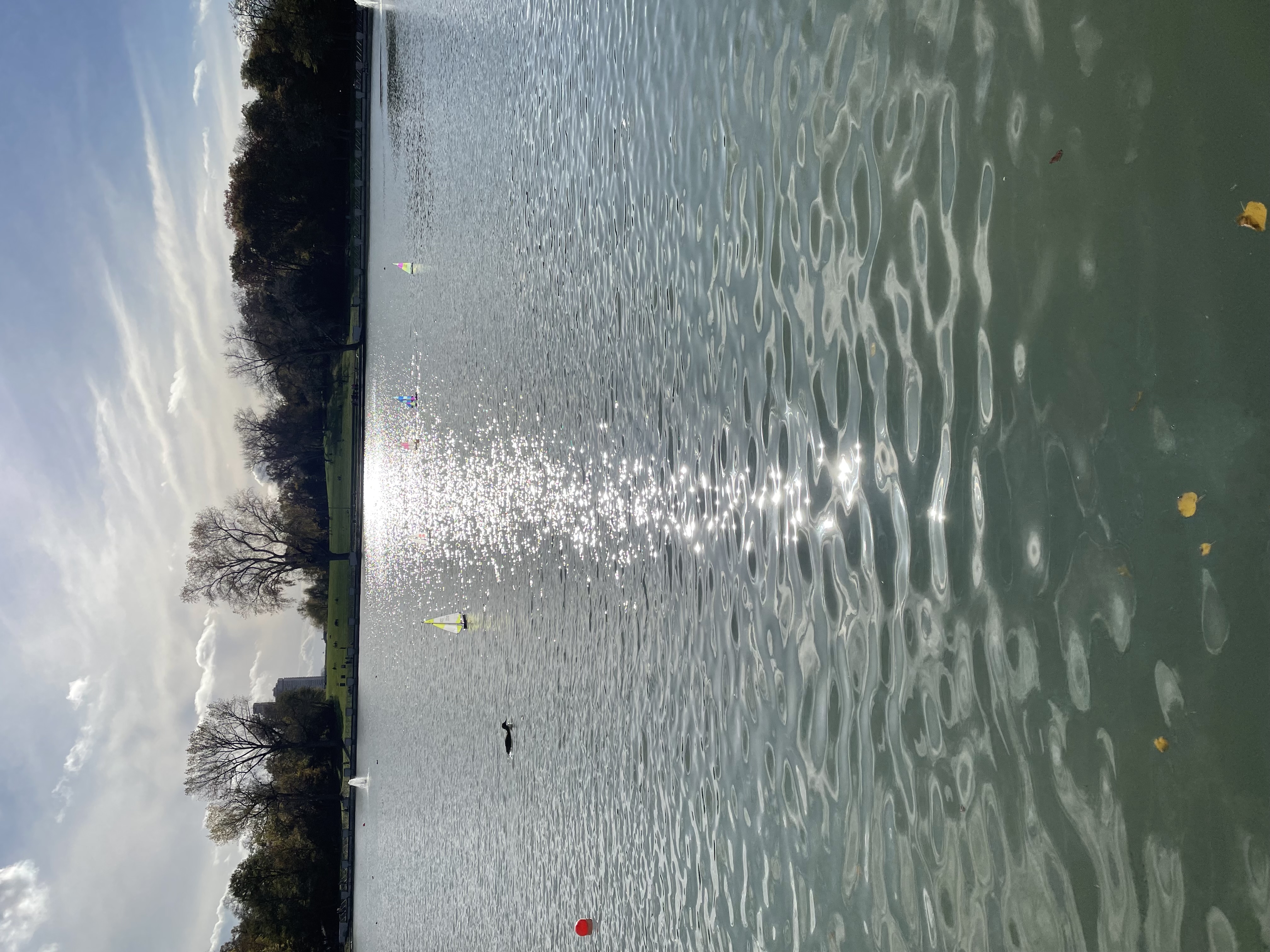 IMG_9674.jpeg
