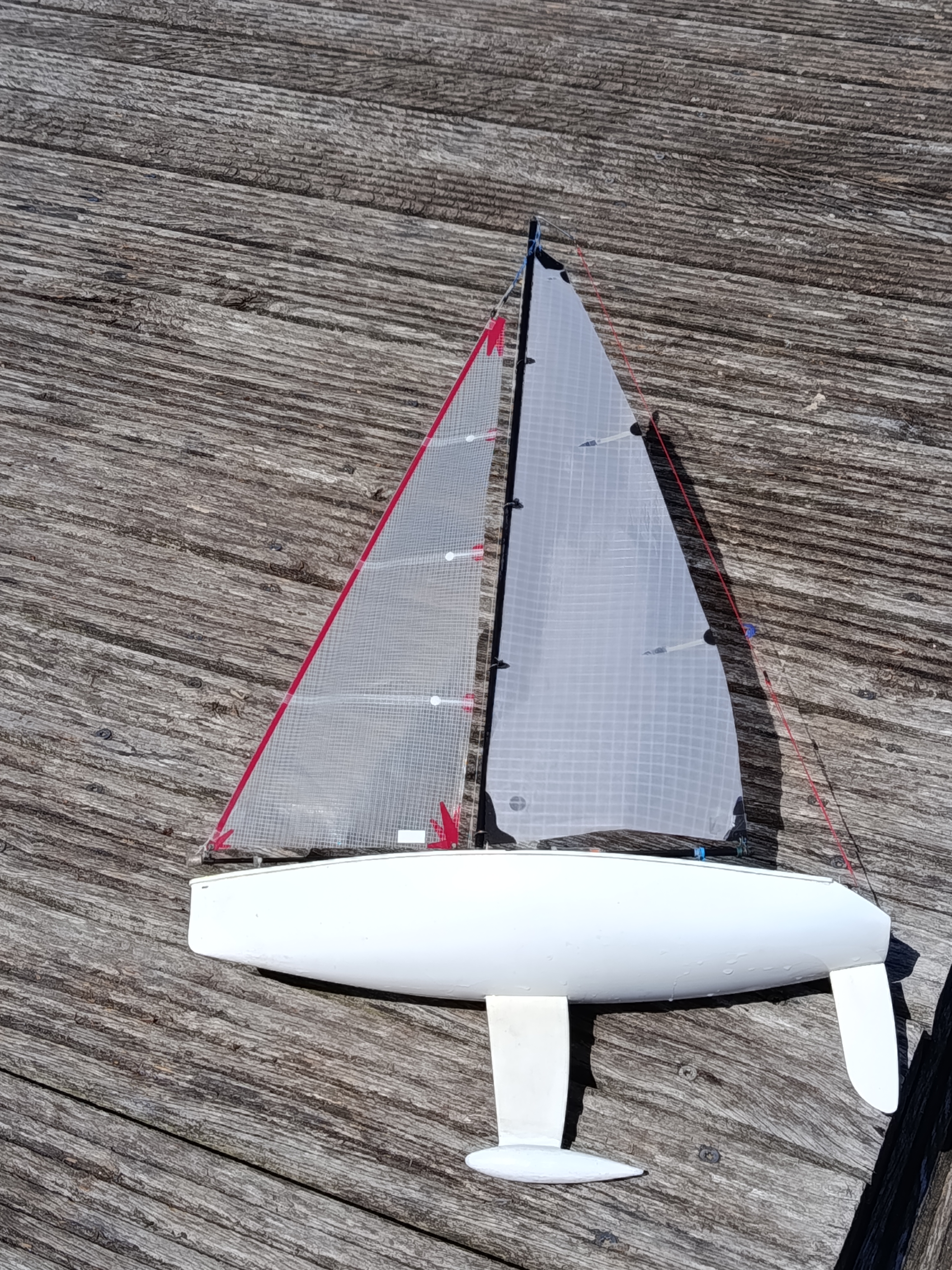 C-Rigg plus 420g.
